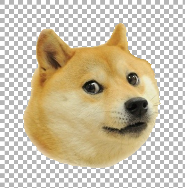 Detail Doge Face Png Nomer 23