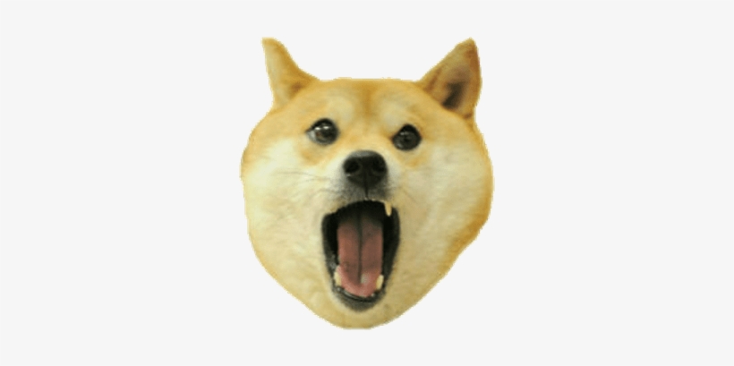 Detail Doge Face Png Nomer 2