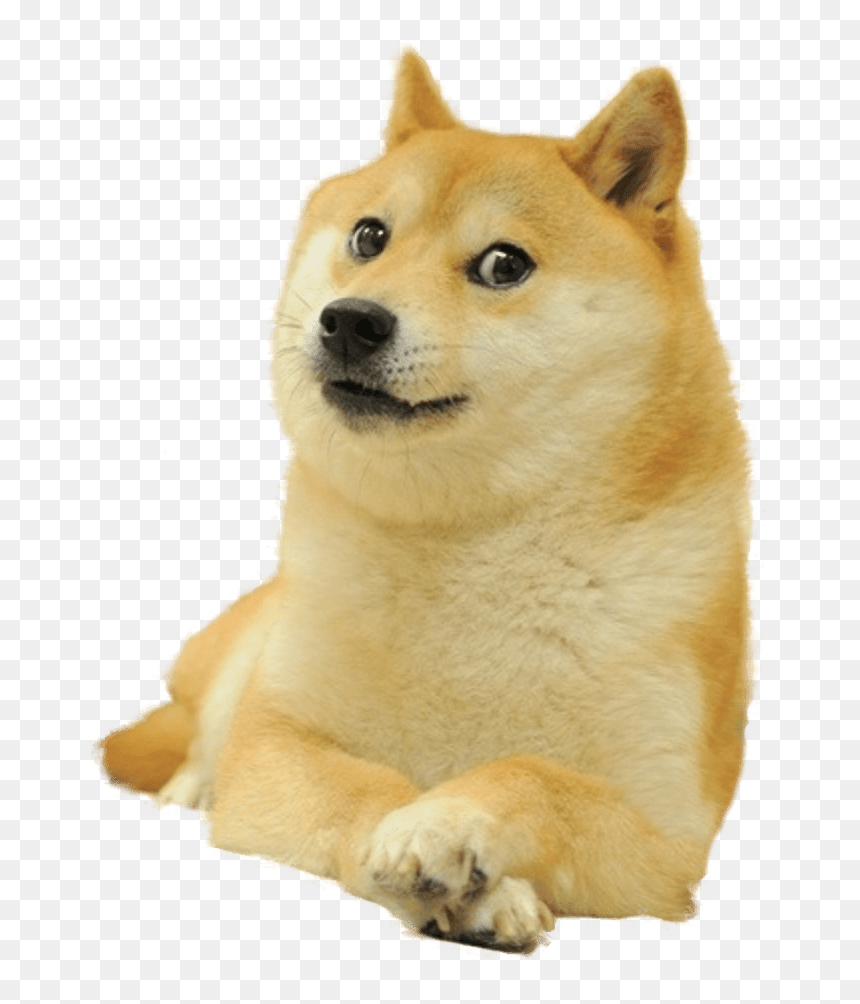 Detail Doge Face Png Nomer 7