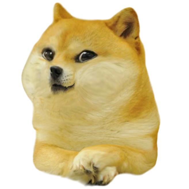 Detail Doge Head Png Nomer 9