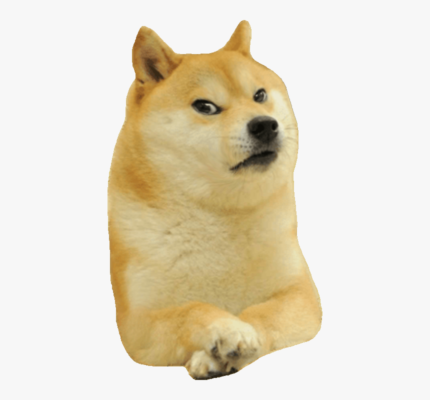 Detail Doge Head Png Nomer 10