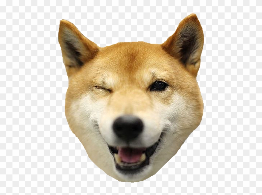 Detail Doge Head Png Nomer 21