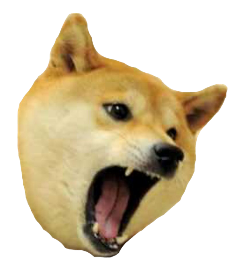 Detail Doge Head Png Nomer 3