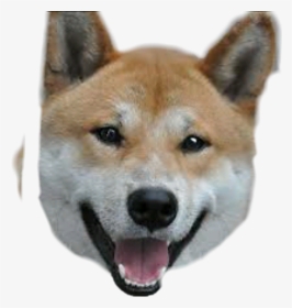 Detail Doge Head Png Nomer 55