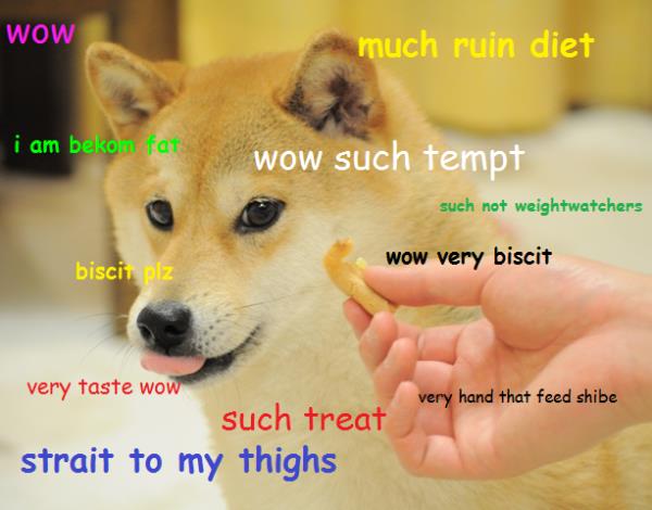 Detail Doge Meme Font Nomer 10