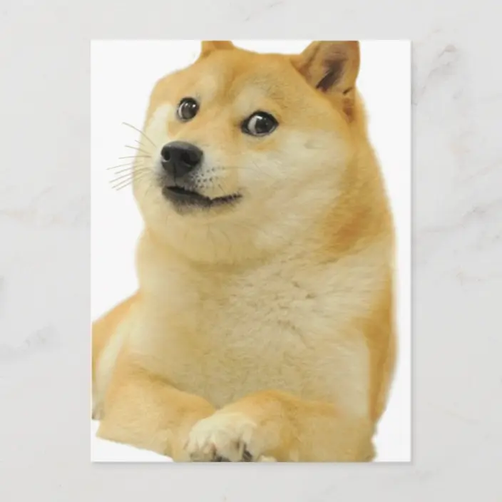 Detail Doge Meme Images Nomer 15