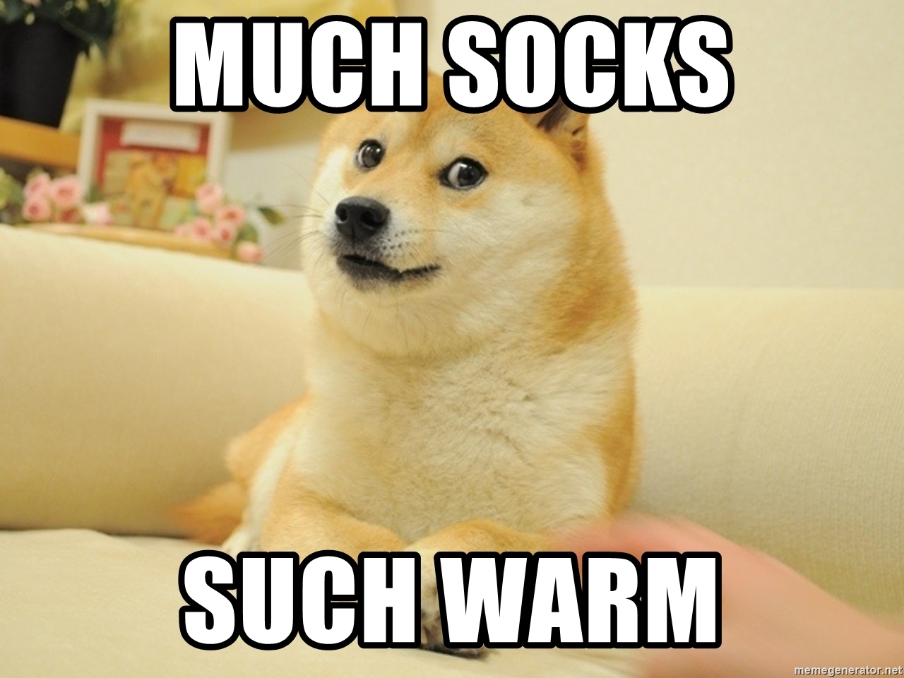 Detail Doge Meme Socks Nomer 31