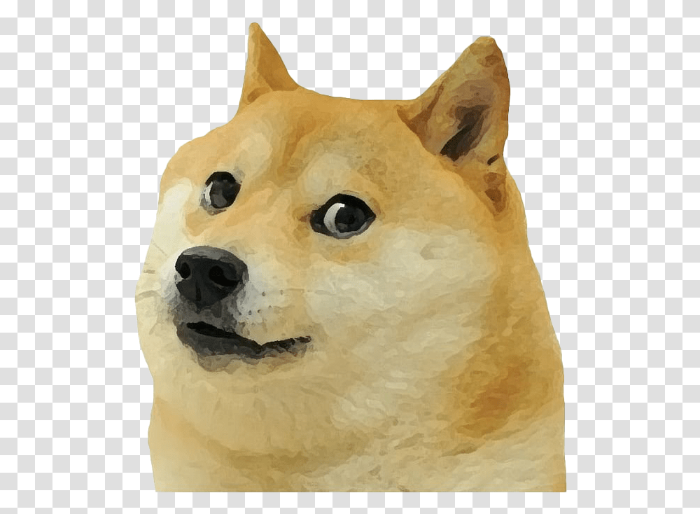 Detail Doge Meme Transparent Nomer 34