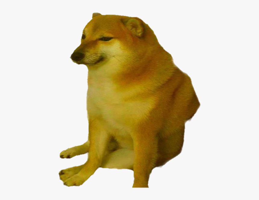 Detail Doge Meme Transparent Nomer 4