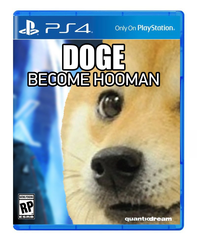 Detail Doge Memes 2018 Nomer 39