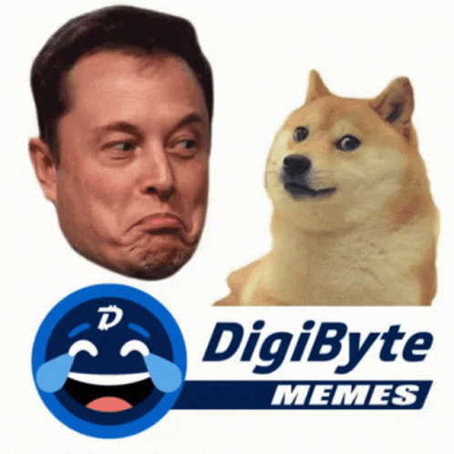 Detail Doge Memes 2018 Nomer 42