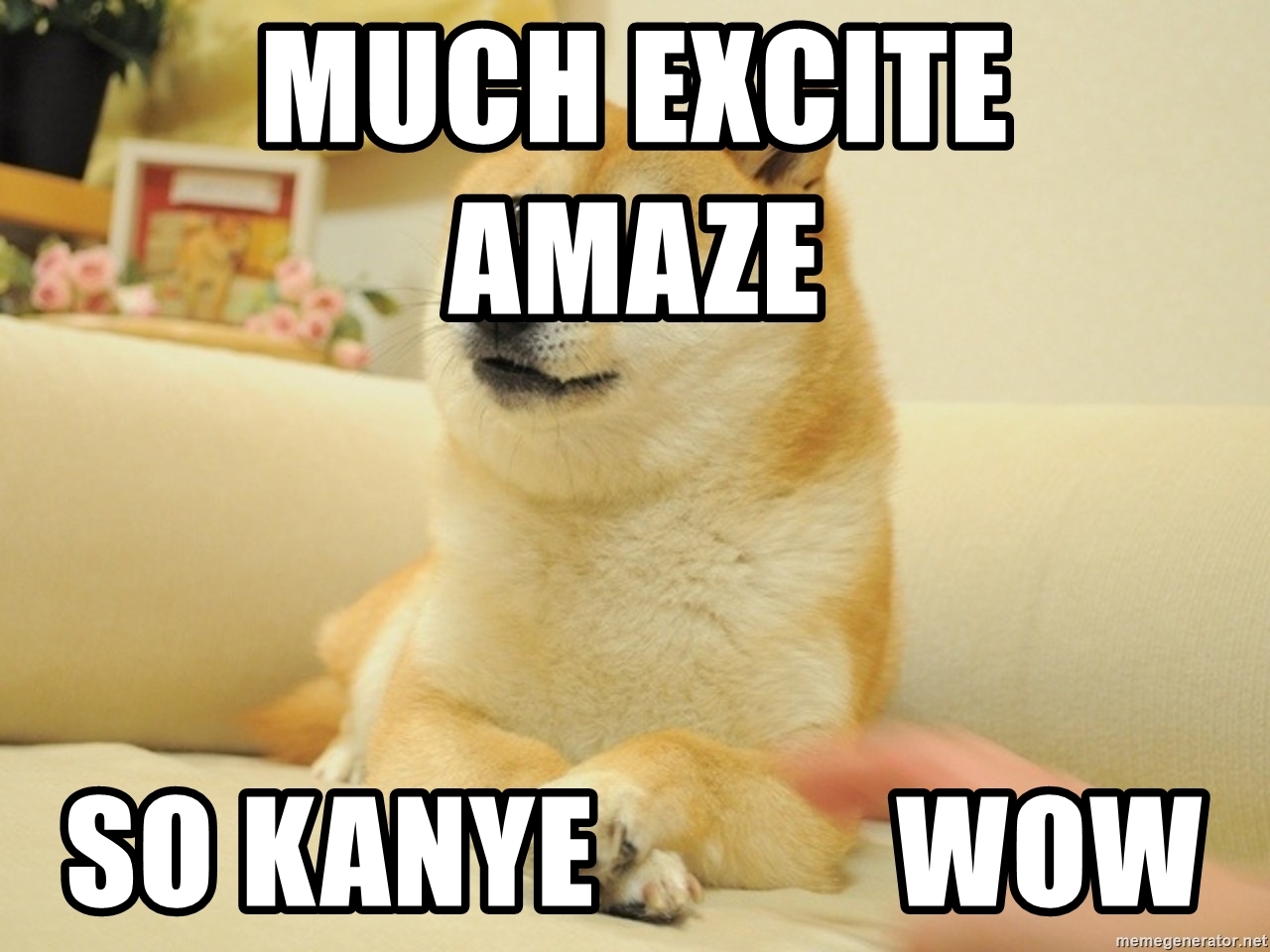 Detail Doge Much Excite Nomer 13