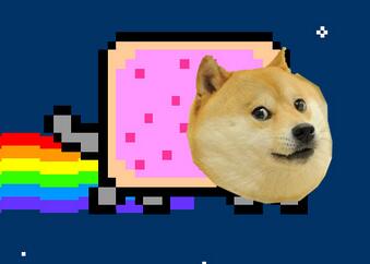 Detail Doge Much Excite Nomer 14