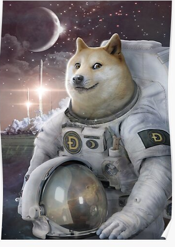 Detail Doge Much Excite Nomer 16