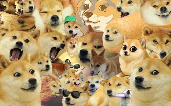 Detail Doge Much Excite Nomer 24