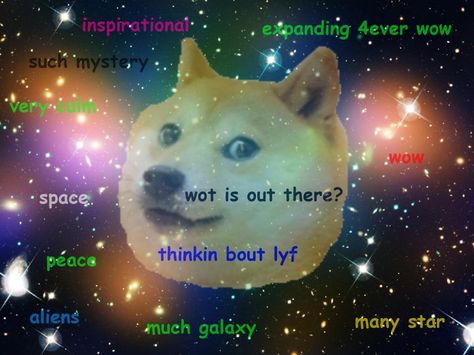 Detail Doge Much Excite Nomer 26