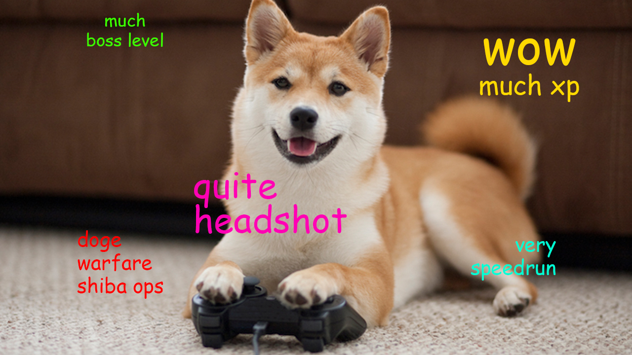 Detail Doge Much Excite Nomer 31