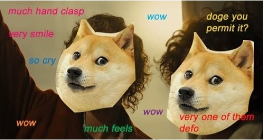 Detail Doge Much Excite Nomer 37