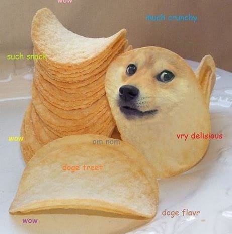 Detail Doge Much Excite Nomer 42