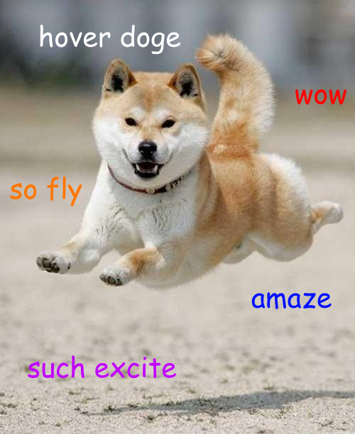 Detail Doge Much Excite Nomer 6