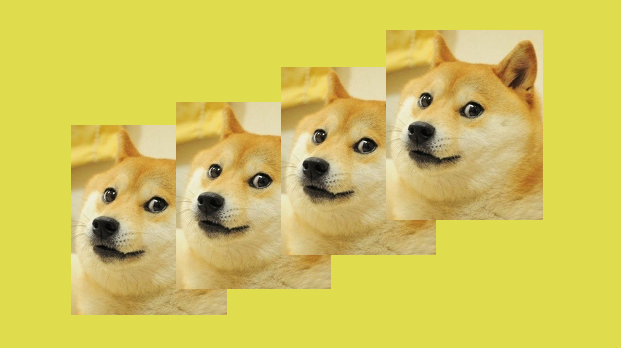 Detail Doge Original Meme Nomer 3