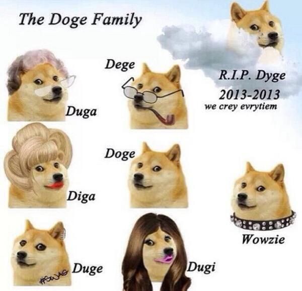 Detail Doge Original Meme Nomer 55