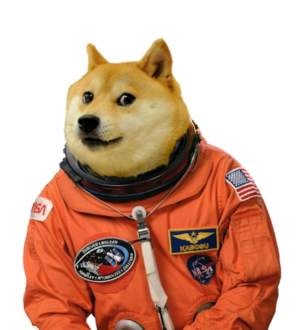 Detail Doge Png Nomer 12