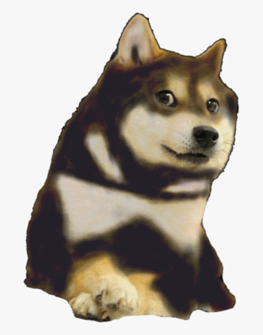 Detail Doge Png Nomer 25