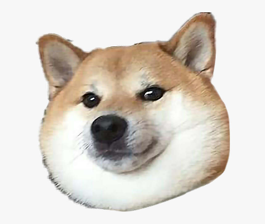 Detail Doge Png Nomer 36