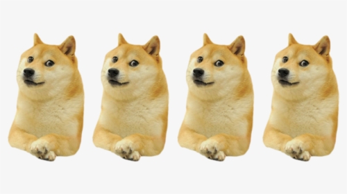 Detail Doge Png Nomer 44