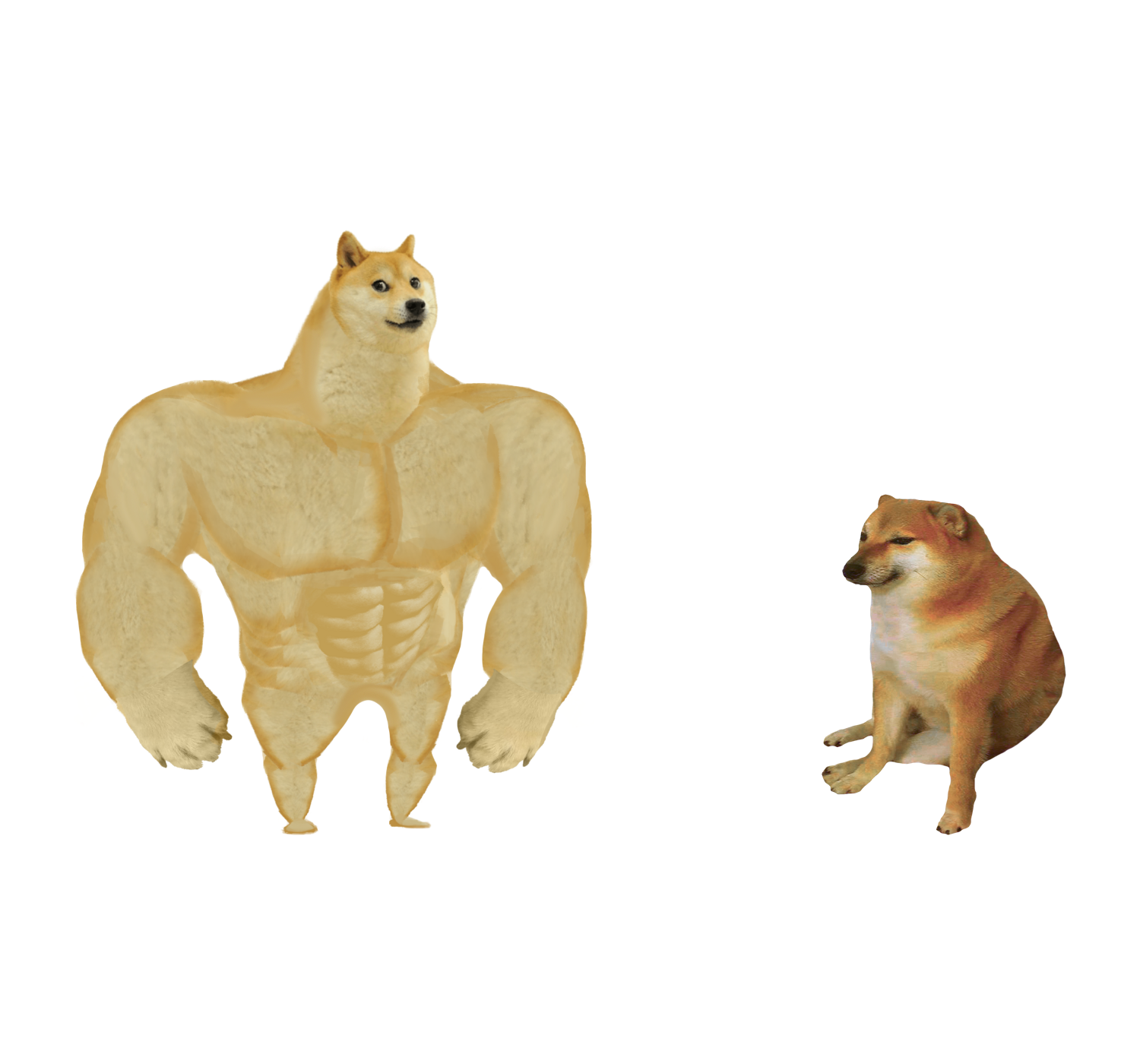 Detail Doge Png Transparent Nomer 10