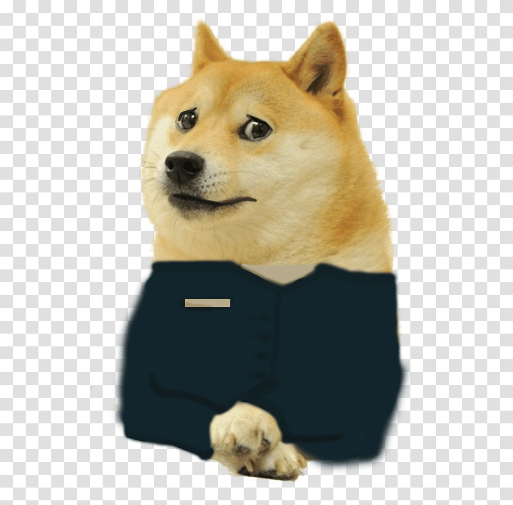 Detail Doge Png Transparent Nomer 17