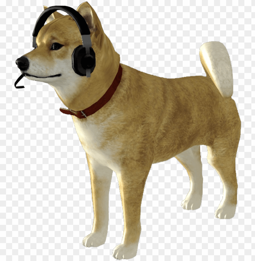 Detail Doge Png Transparent Nomer 23