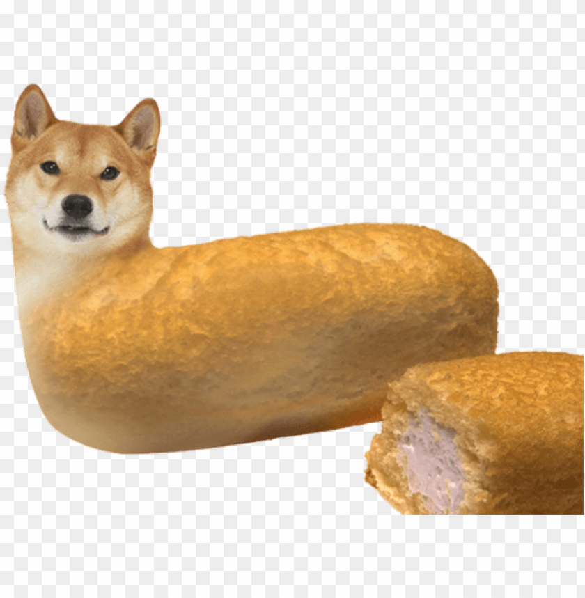 Detail Doge Transparent Background Nomer 16