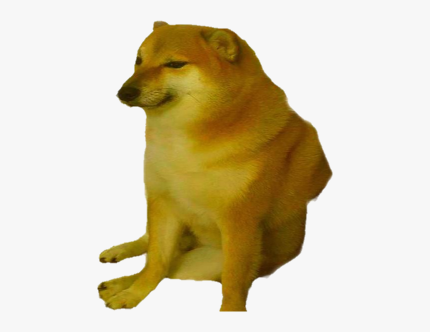 Detail Doge Transparent Background Nomer 2