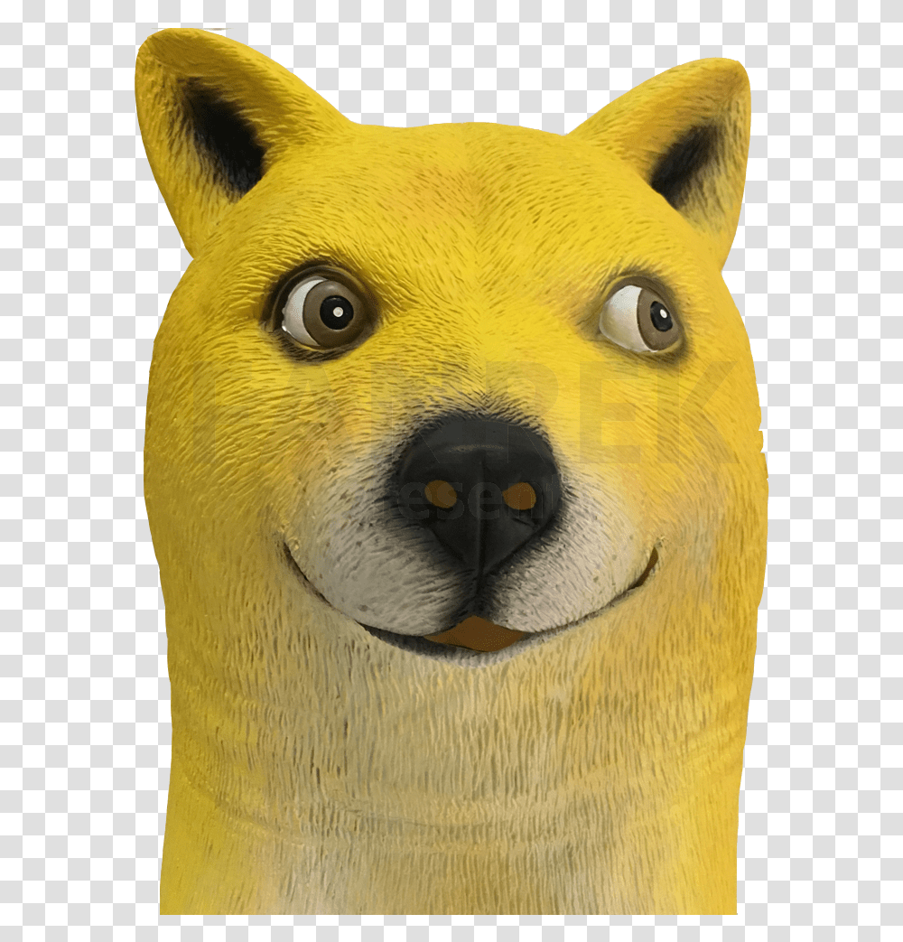 Detail Doge Transparent Background Nomer 33