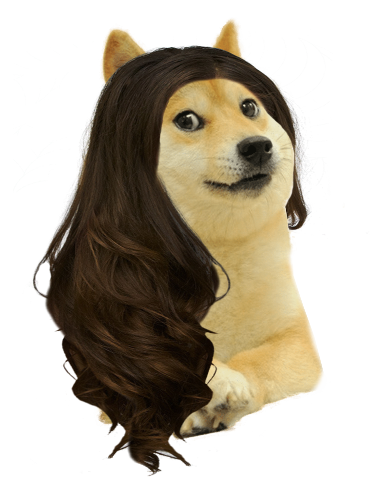 Detail Doge Transparent Background Nomer 41