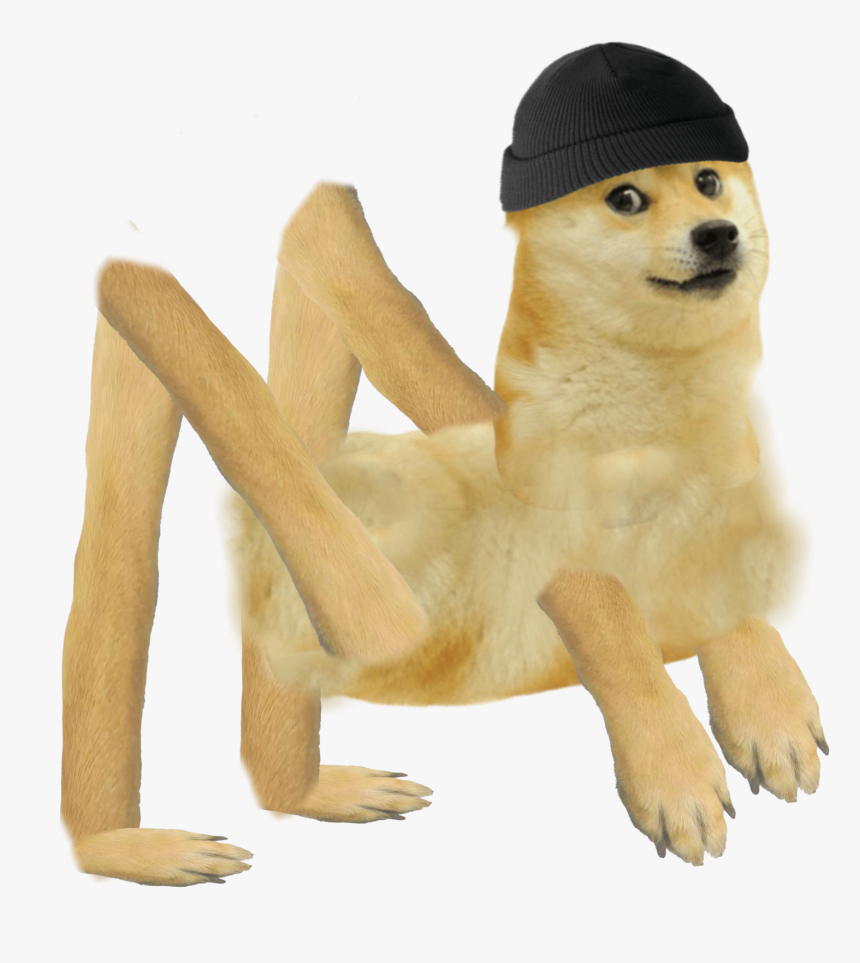 Detail Doge Transparent Background Nomer 42