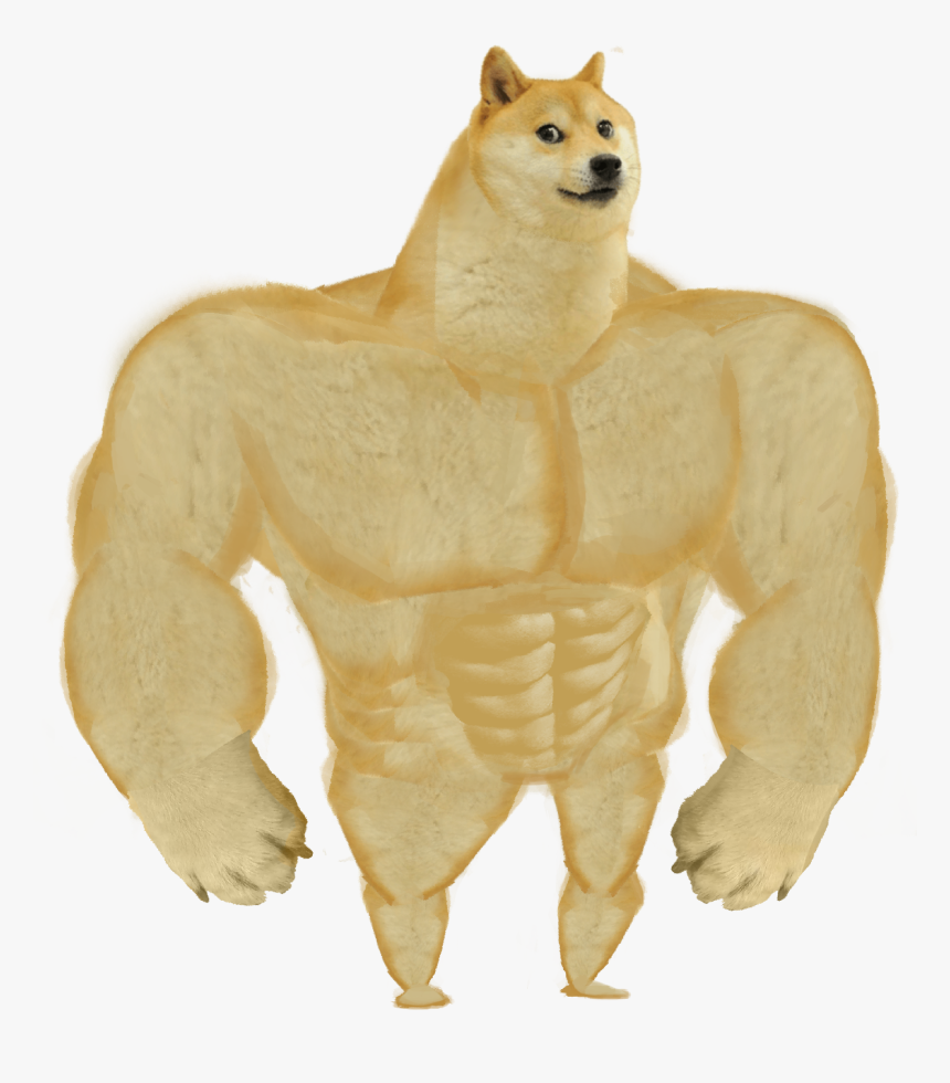 Detail Doge Transparent Background Nomer 5