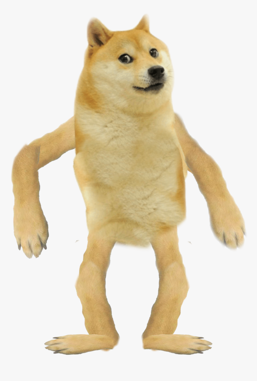 Detail Doge Transparent Png Nomer 6