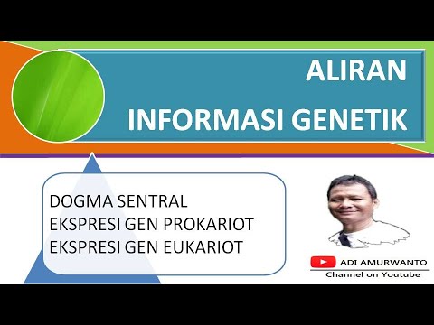 Detail Dogma Sentral Biologi Molekuler Nomer 28