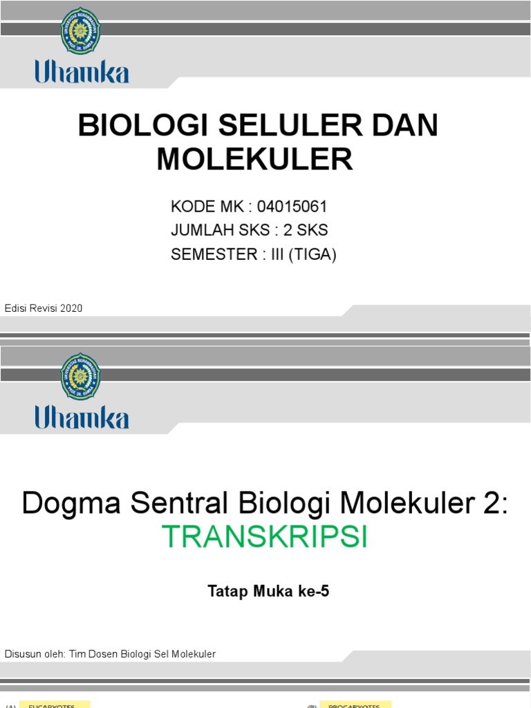 Detail Dogma Sentral Biologi Molekuler Nomer 32