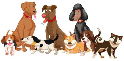 Detail Dogs Clipart Nomer 6