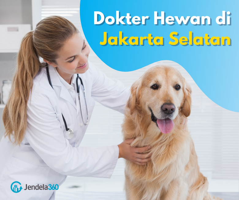 Detail Dokter Ortopedi Hewan Nomer 10