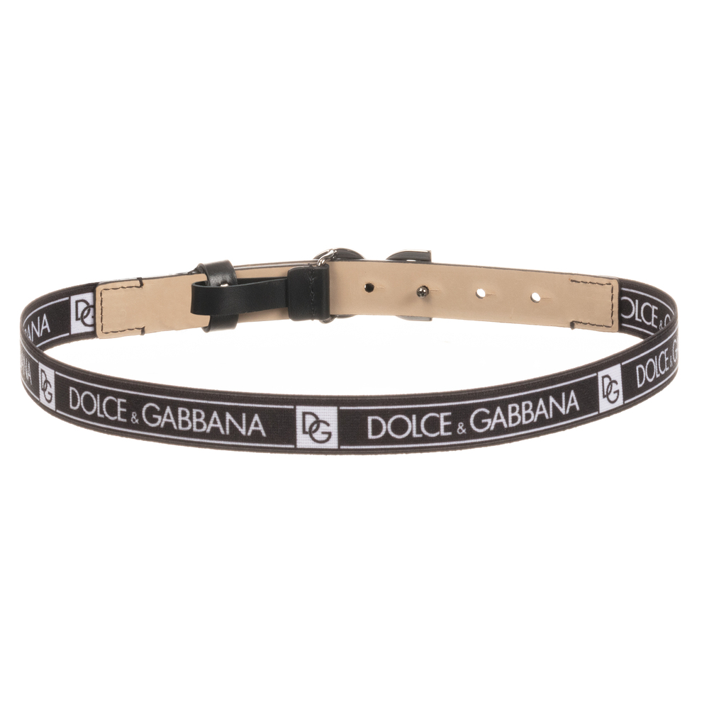 Detail Dolce And Gabbana Dog Collar Nomer 13