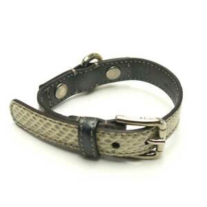 Detail Dolce And Gabbana Dog Collar Nomer 3