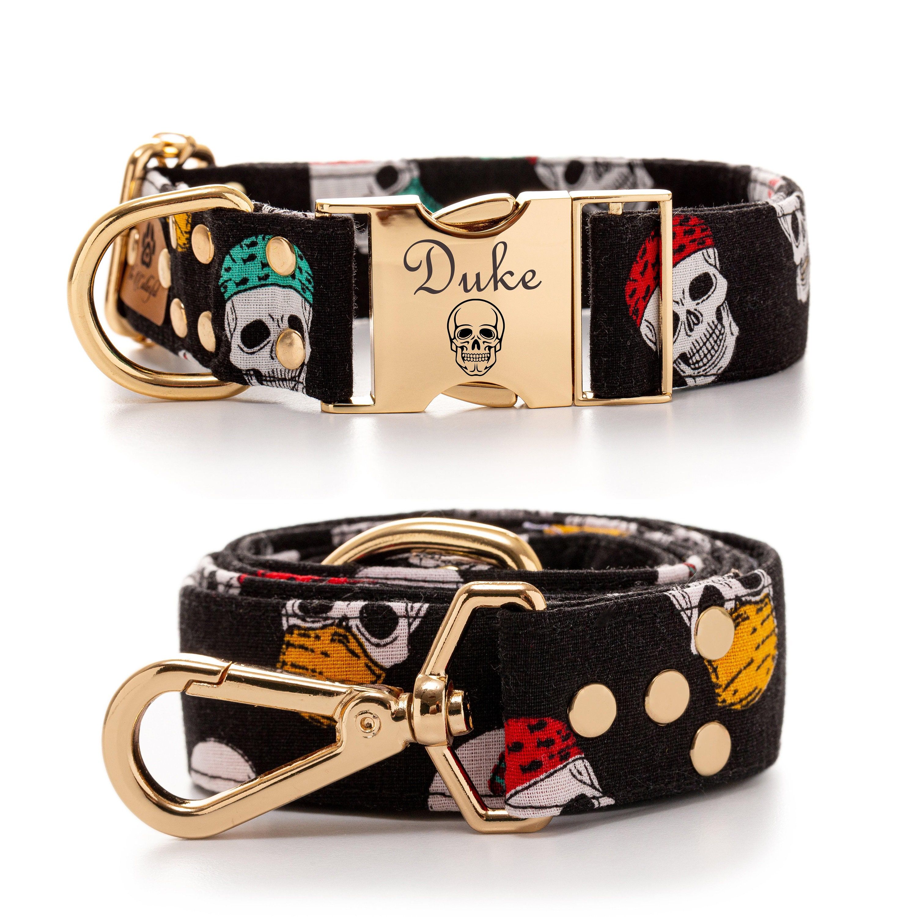 Detail Dolce And Gabbana Dog Collar Nomer 29