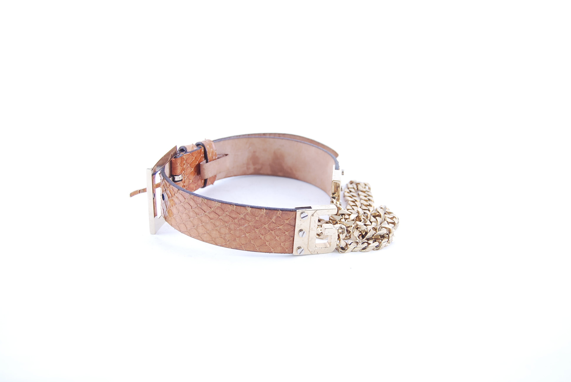 Detail Dolce And Gabbana Dog Collar Nomer 51