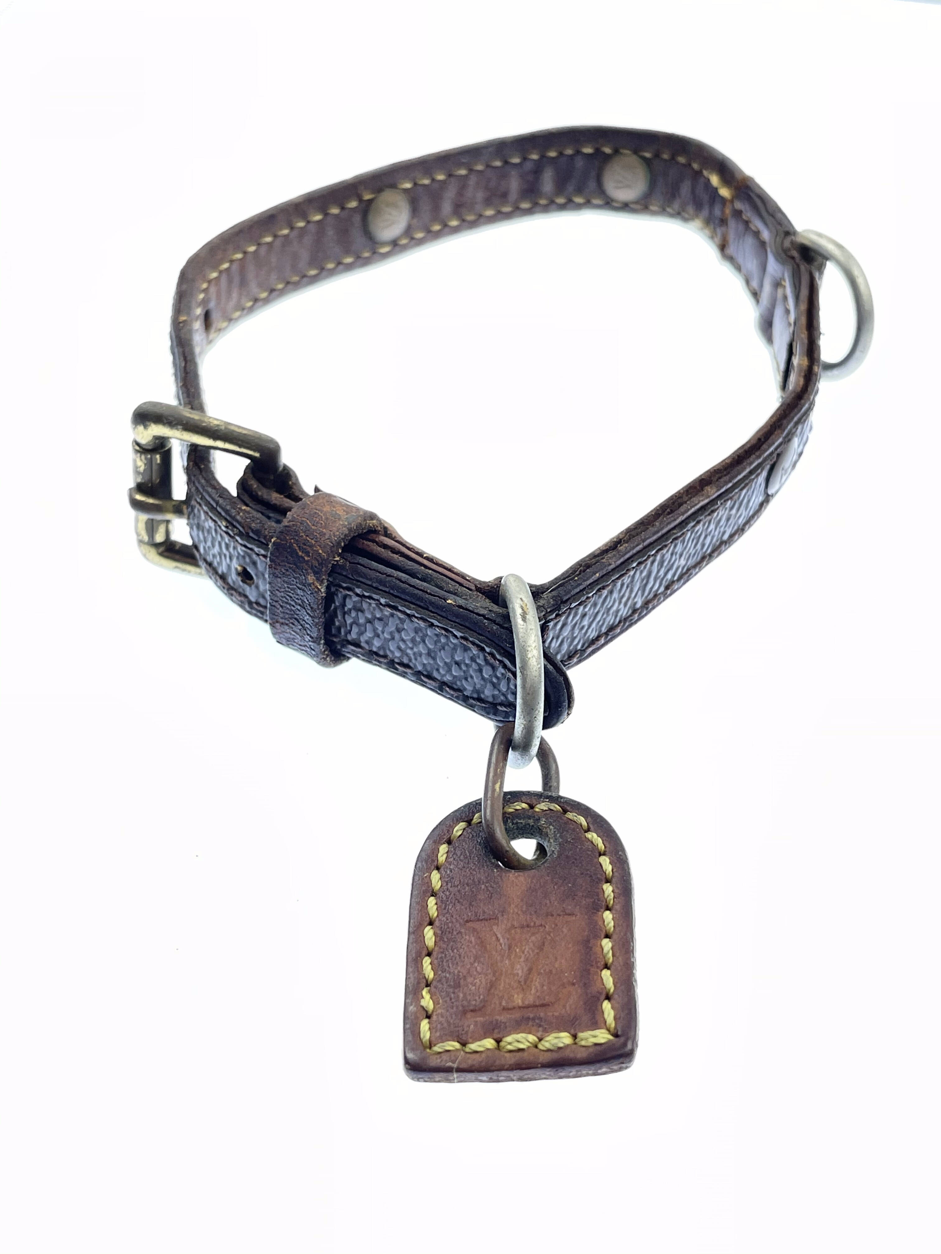 Detail Dolce And Gabbana Dog Collar Nomer 52