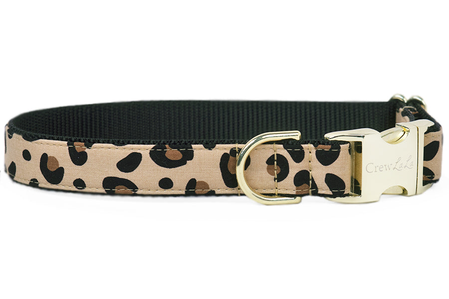 Detail Dolce And Gabbana Dog Collar Nomer 9